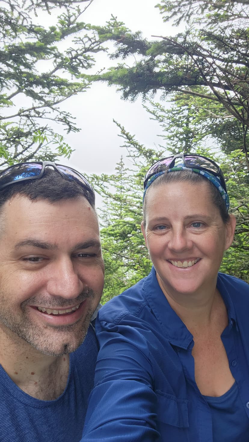 Knotty Corvid & Fern_bights